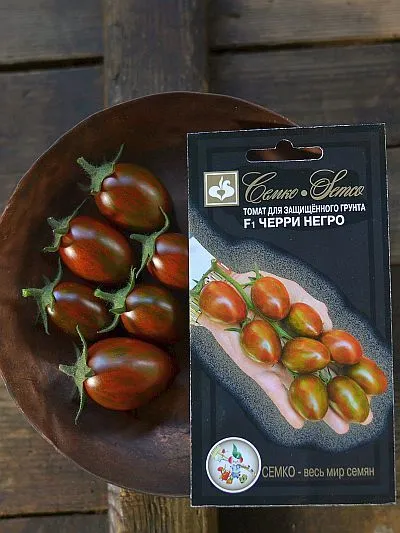 ���� ������ ������