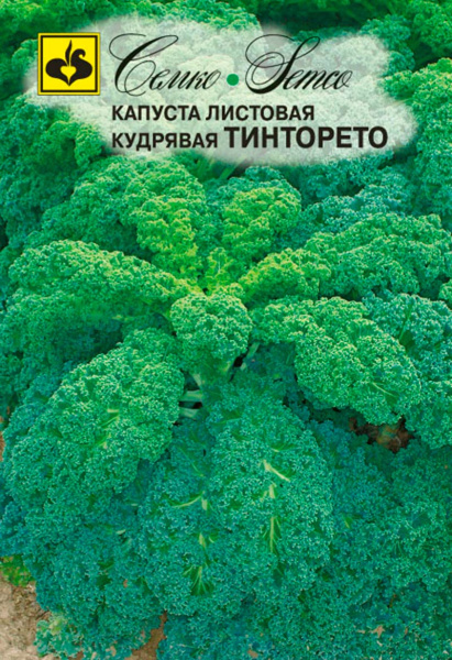 Капуста листовая Тинторето (пакет 0.3 г)