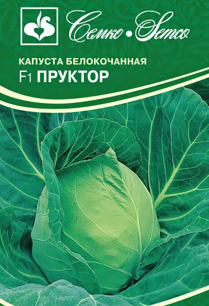 Капуста белокочанная Пруктор F1 (пакет 10 шт)