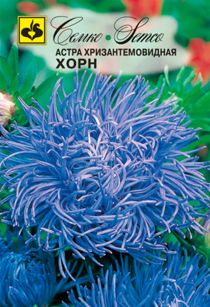 Цветы Астра хризантемовидная Хорн (пакет 0.5 г)