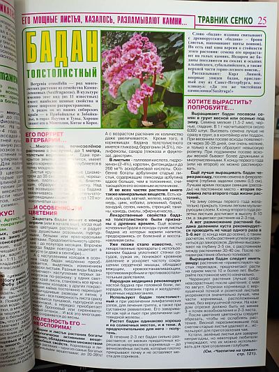 Книга "Пряно-ароматические грядки" Фото №5