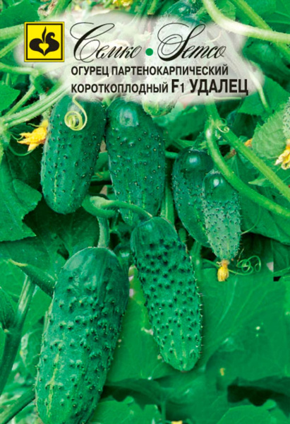 Огурец Удалец F1 (пакет 5 шт)