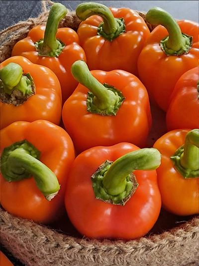 Перец сладкий Оранжевая Красавица F1 (пакет 10 шт.) Фото №6