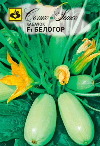 Кабачок Белогор F1 (пакет 5 шт.)