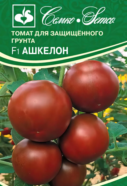 Томат Ашкелон F1 (пакет 5 шт.)