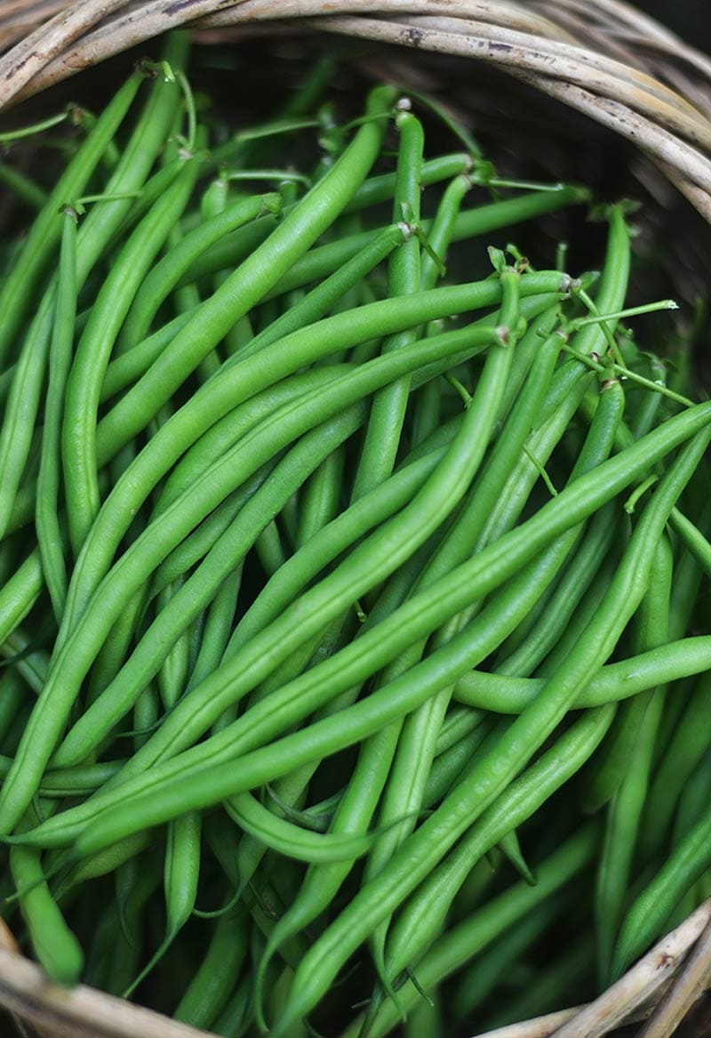 Фасоль спаржевая Серенгети (пакет 5 г) Фото №2