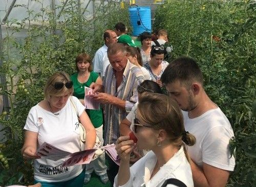 Результаты испытаний в рамках отдельно взятой белгородской высокотехнологичной теплицы (март-сентябрь 2018 года)