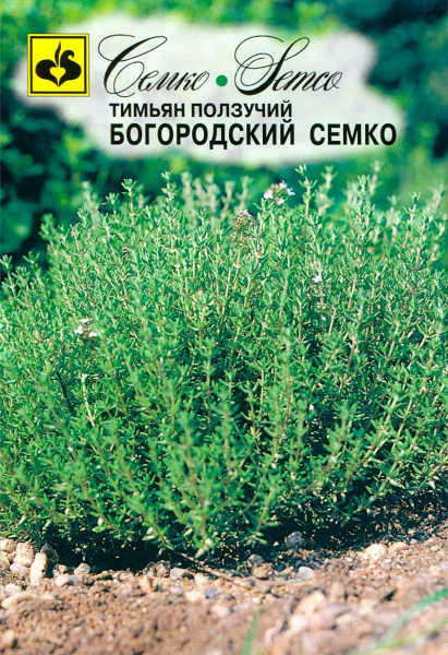 Тимьян Богородский Семко (пакет 0,2 г)