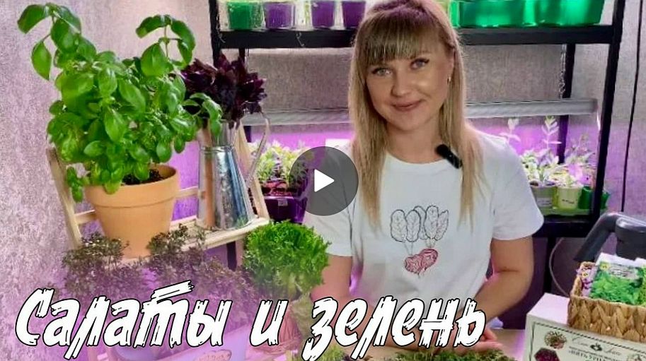 Как правильно посадить семена зелени, салатов и микрозелень?