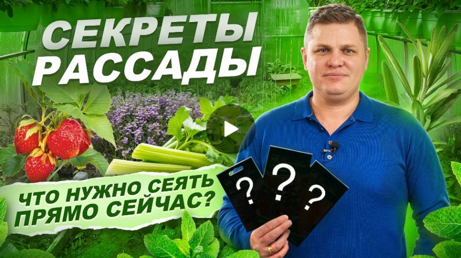 Что сажать в феврале?