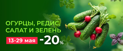 СКИДКА 20% НА СЕМЕНА ОГУРЦОВ, РЕДИСА, САЛАТА И ЗЕЛЕНИ