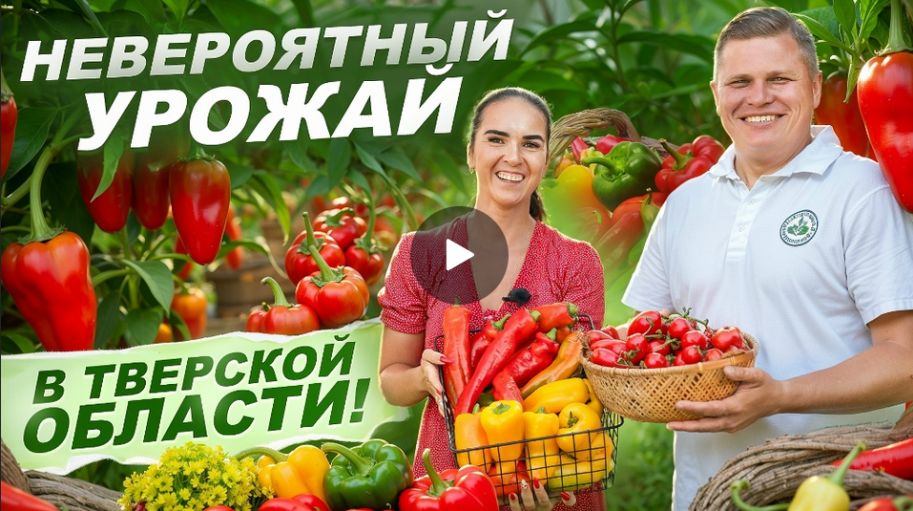 По дачам 2 сезон Тверская область СНТ "Урожай"