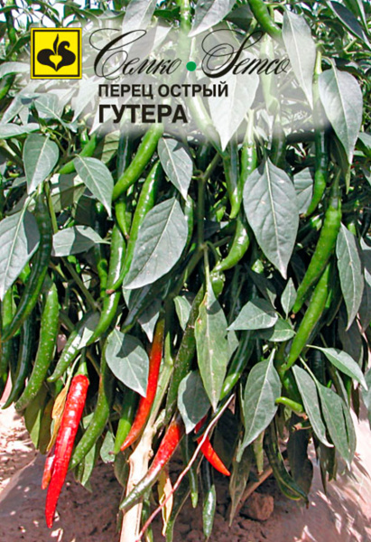 Перец острый Гутера (пакет 5 шт)