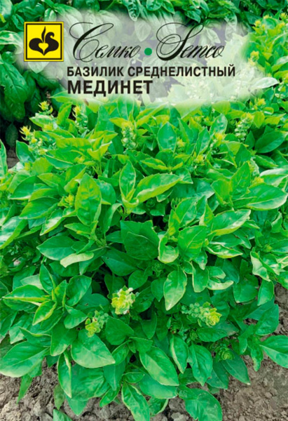 Базилик Мединет (пакет 0,5 г)