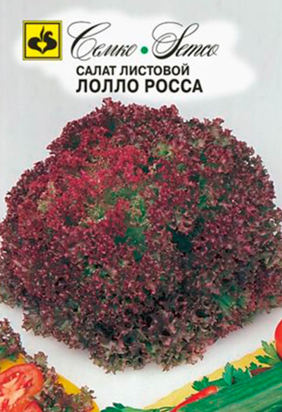 Салат листовой Лолло Росса (пакет 1 г)