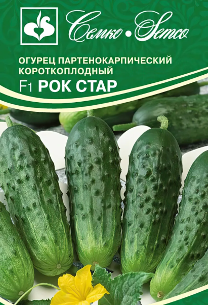Огурец Рок Стар F1 (пакет 5 шт)