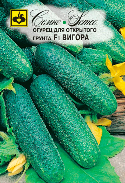 Огурец Вигора F1 (пакет 0,5 г)
