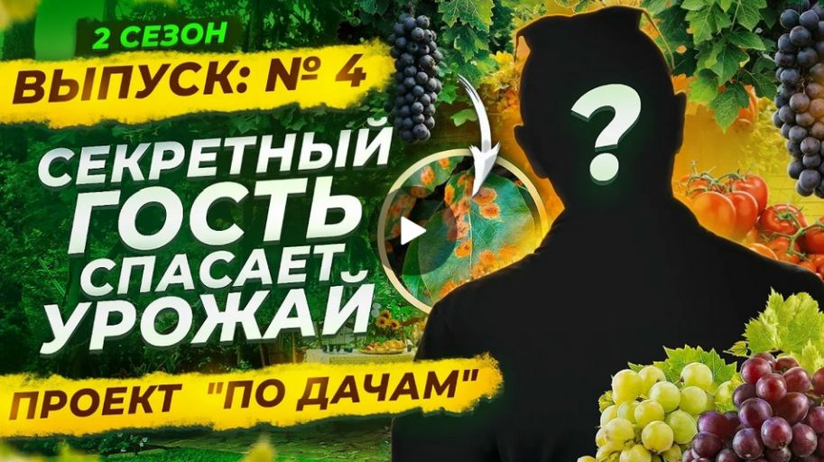 По дачам 2 сезон Ульяновск