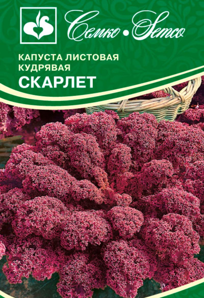Капуста кудрявая кале Скарлет (пакет 0,2 г)