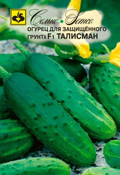 Огурец Талисман F1 (пакет 5 шт)