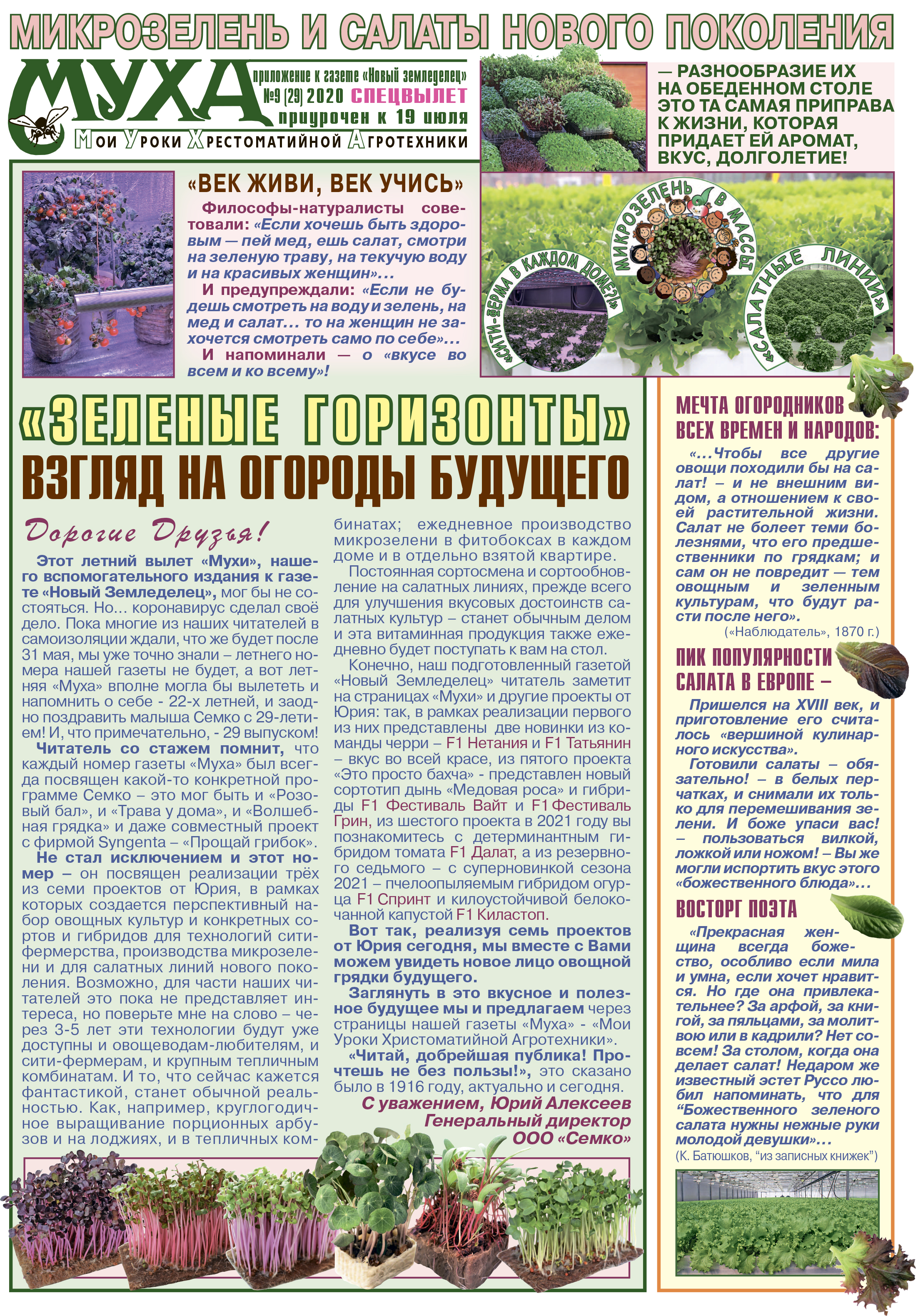 Газета Муха - внеочередной выпуск № 29 (2020)