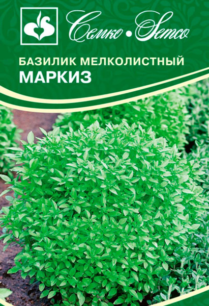 Базилик Маркиз зеленый (пакет 0,2 г)
