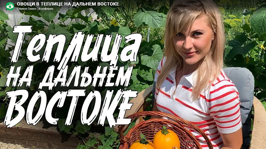 ОВОЩИ В ТЕПЛИЦЕ НА ДАЛЬНЕМ ВОСТОКЕ