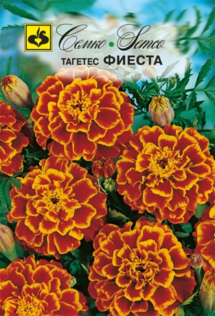 Цветы Тагетес Фиеста (пакет 0.3 г)