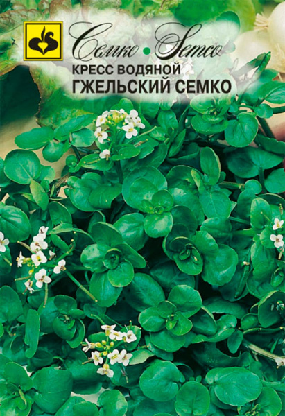 Кресс водяной Гжельский Семко (пакет 0,3 г)