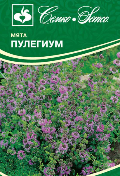 Мята болотная Пулегиум (пакет 0,05 г)