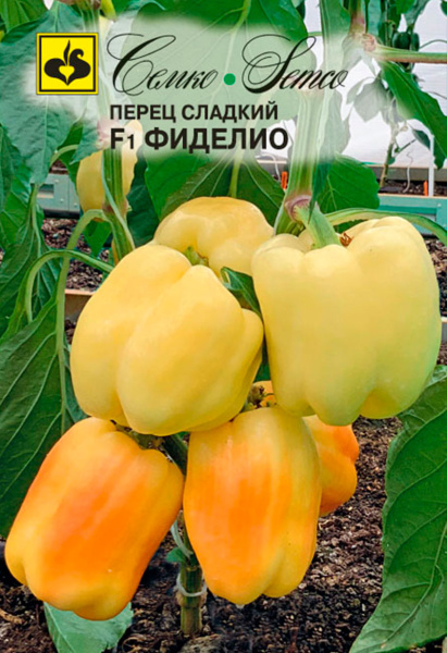 Перец сладкий Фиделио F1 (пакет 5 шт.)