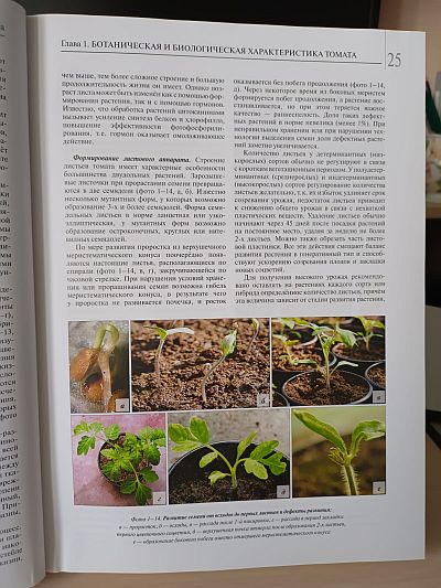 Книга "Мир томата глазами фитопатолога" Фото №2