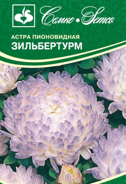 Цветы Астра пионовидная Зильбертурм (пакет 0.5 г)
