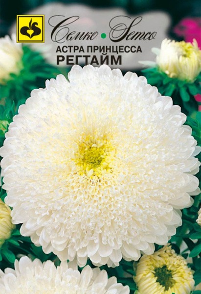 Цветы Астра принцесса Регтайм (пакет 0.5 г)