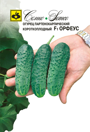Огурец Орфеус F1 (пакет 10 шт)