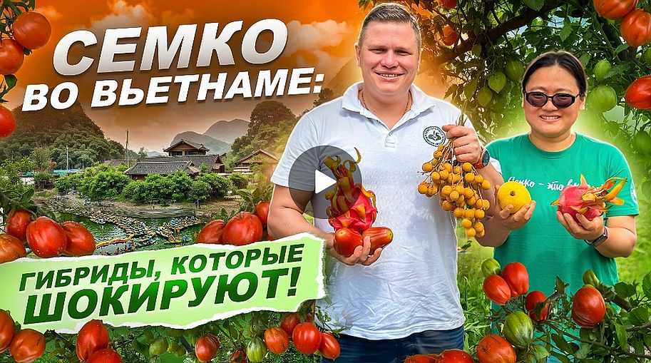 Семко во Вьетнаме