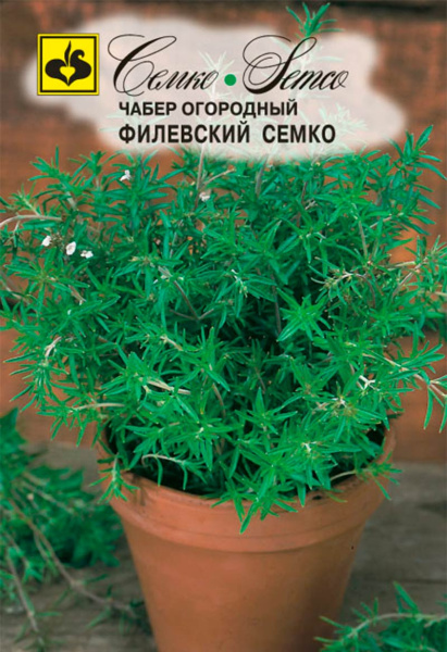 Чабер Филевский Семко (пакет 0.2 г)