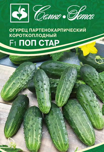 Огурец Поп Стар F1 (пакет 5 шт)