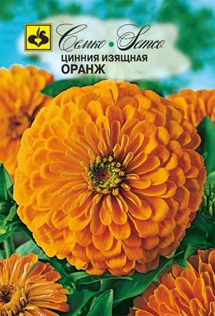 Цветы Цинния изящная Оранж (пакет 0.5 г)