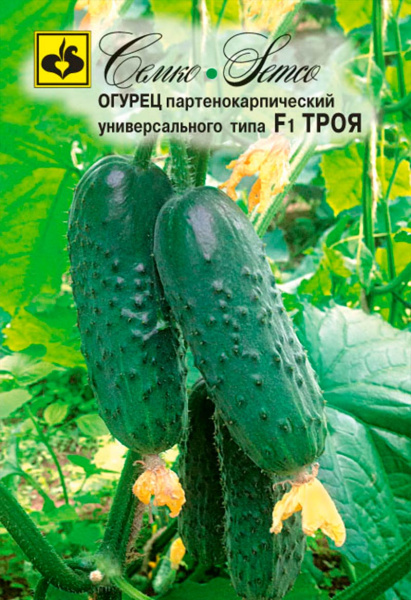 Огурец Троя F1 (пакет 5 шт.)