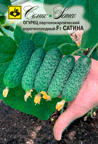 Огурец Сатина F1 (пакет 5 шт)