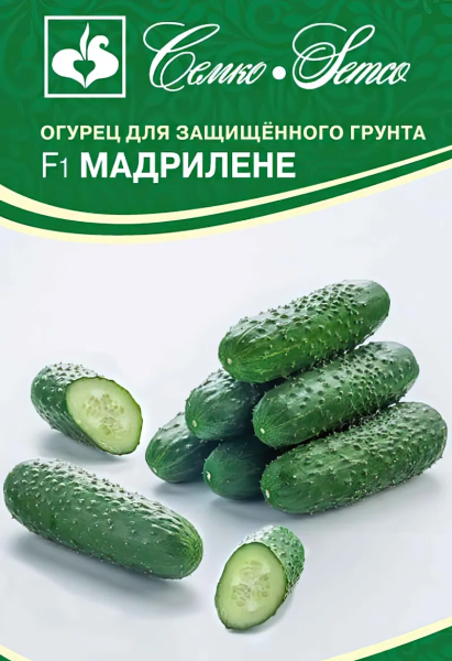 Огурец Мадрилене F1 (пакет 5 шт.)