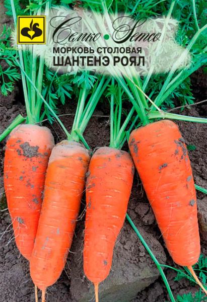 Морковь Шантенэ Роял (пакет 2 г)