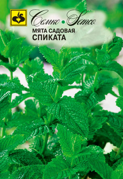 Мята садовая Спиката (пакет 0.05 г)