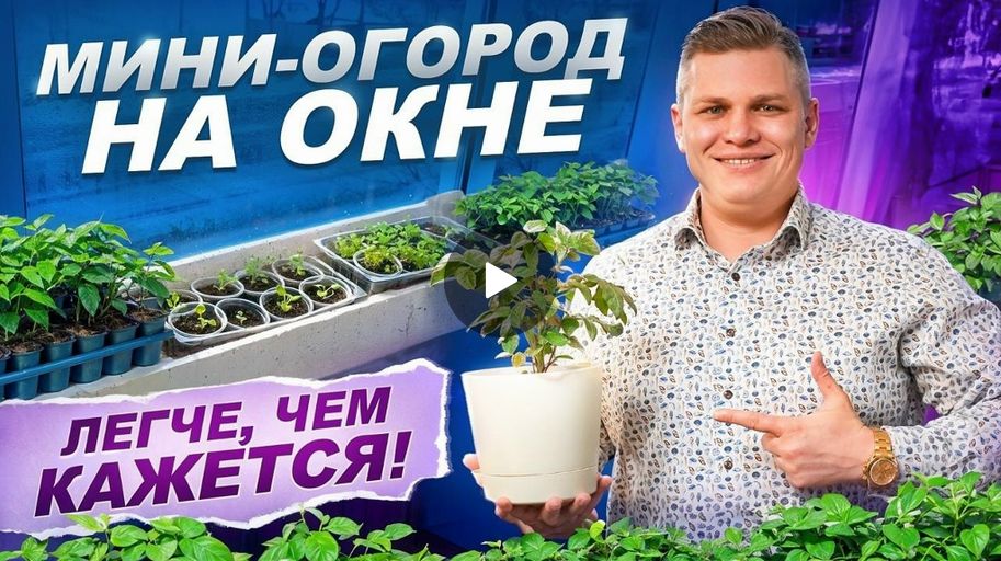 Домашний огород