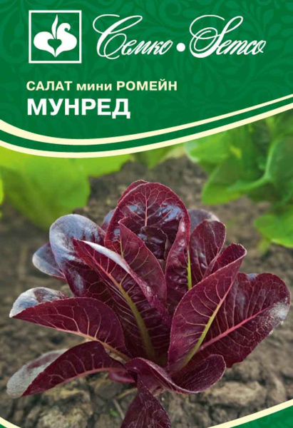Салат мини ромейн Мунред  (пакет 15 шт.)