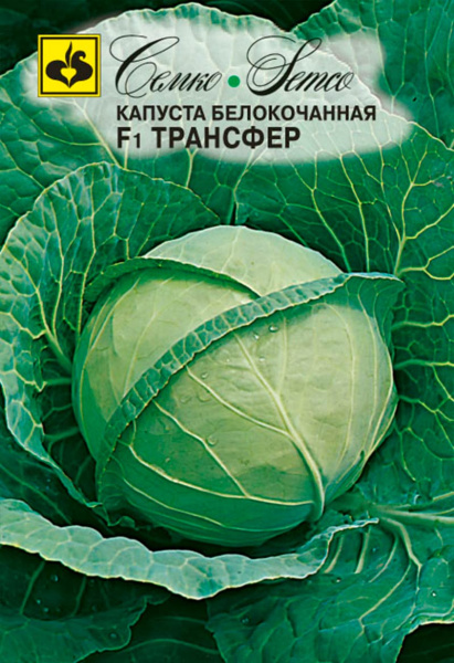 Капуста белокочанная Трансфер F1 (пакет 0,3 г)