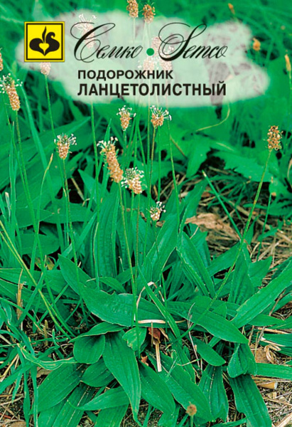 Подорожник Ланцетолистный (пакет 0.5 г)