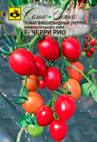 Томат Черри Рио F1 (пакет 10 шт.)
