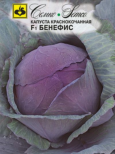 Семена краснокочанной капусты Бенефис F1 купить по выгодным ценам с доставкой по России, Беларуси и Казахстану
